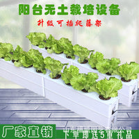 Hydroponic Planter Box Kit for Balcony Vegetable Gardening