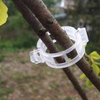 Garden Plant Support Clips and Ties for Tomatoes and Climbing Vines