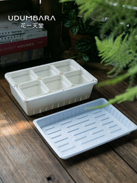 Thickened Square Plastic Succulent Planter with Tray or Lid for Seedling Cultivation