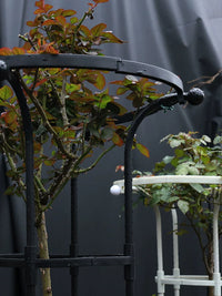 Garden Plant Support Trellis for Climbing Roses and Vines, Umbrella-shaped Metal Flower Stand