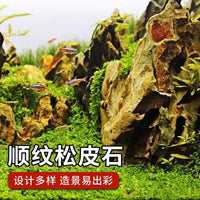Natural Pine Bark Stone for Aquarium Landscaping and Micro-Landscape Bonsai