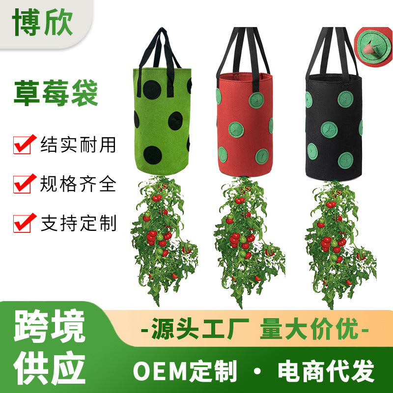 Hanging Strawberry Planter Bag with 13 Holes for Vertical Gardening