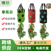 Hanging Strawberry Planter Bag with 13 Holes for Vertical Gardening