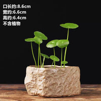 Ceramic Hydroponic Planter Bowl for Aquatic Plants and Small Bonsai