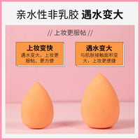 Air Cushion Sponge Blender for Makeup - Wet & Dry Use