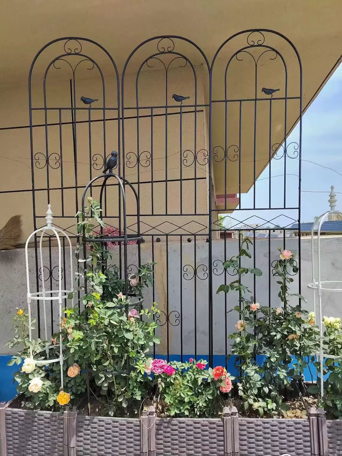 Clematis Climbing Trellis Rose Garden Fence Outdoor Metal Plant Support Frame Net