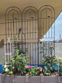 Clematis Climbing Trellis Rose Garden Fence Outdoor Metal Plant Support Frame Net