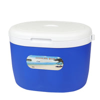 Portable Insulated Cooler Box for Cold Chain Transport, Food Preservation, and Outdoor Activities