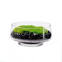 Large Mouth Clear Glass Hydroponic Terrarium Vase for Moss Micro Landscape and Artificial Floral Decor
