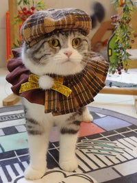 Pet Christmas Octagonal Hat Scarf Collar Set for Cats and Small Dogs, Festive British Style Costume