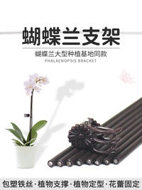 Orchid Plant Support Stakes and Clips for Climbing Vines and Floral Arrangements