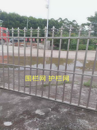 Galvanized Welded Wire Mesh Fence for Poultry and Pet Enclosures