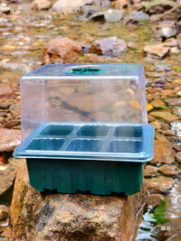 12-Cell Seedling Starter Tray with Dome Lid for Succulents and Cuttings