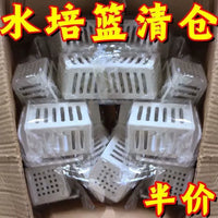 Aquarium Plant Holder Wall-Mounted Hydroponic Basket for Aquatic Plants and Decorations
