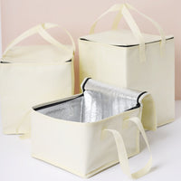 Insulated Cake Delivery Bag Non-Woven Aluminum Foil Cooler for Food Transport