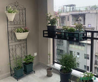 Iron Art Climbing Trellis with Base for Potted Plants, European Style Screen for Balcony & Indoor Use