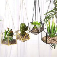 Geometric Glass Terrarium Hanging Planter for Succulents Air Plants, Copper Edged Dustproof Display Case Ornament