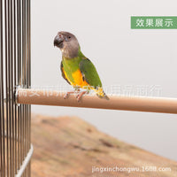 Bird Perch Stand for Small Parrots and Pet Birds, Cage Accessory