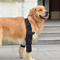 Pet Dog Leg Brace for Joint Support and Injury Recovery - Canine Knee and Hock Protector for Small to Large Dogs