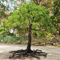 Miniature Wire Model Trees for Dioramas and Micro Landscapes, 15-27cm Tall