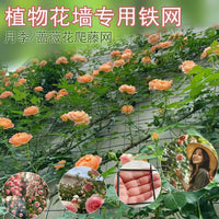 Garden Trellis Netting for Climbing Plants, Rose Support Mesh, Outdoor Plant Climbing Net