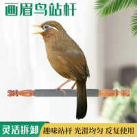 Parrot Sand Perch for Bird Cages - Grinding Stick for Beaks and Claws