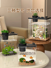 Desktop Acrylic Fish Tank with LED Light and Oxygenation System for Home and Office