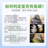 Bird Mite and Lice Spray for Parrots and Other Pet Birds