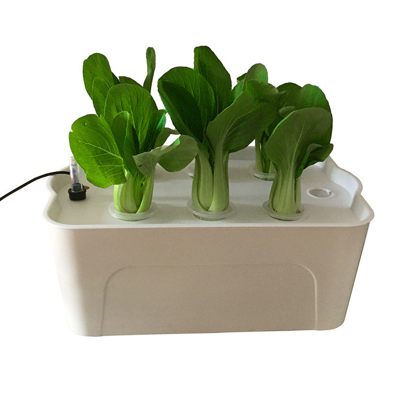 Hydroponic Growing System for Home Balcony Vegetable Cultivation
