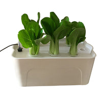Hydroponic Growing System for Home Balcony Vegetable Cultivation