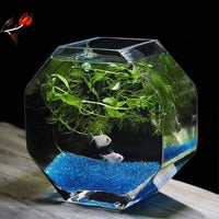 Creative Thickened Glass Desktop Fish Tank for Hydroponics and Landscaping