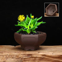 Mini Zisha Clay Square Planter for Succulents & Bonsai, Desktop Decorative Pot