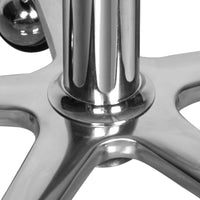 Baimeng Swivel Salon Stool with Adjustable Height for Hairdressers and Barbers
