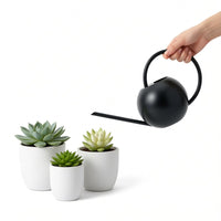 Long Spout Stainless Steel Watering Can for Indoor Plants & Bonsai, 1000ml