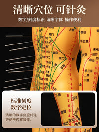 Acupuncture Meridian Human Body Model with Acupoints, Soft Rubber for Needle Practice