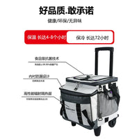 36L Portable Cooler Warmer with Wheels, Dual-Use for Car Camping Outdoor Picnics
