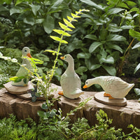 Mini Duck Figurines for Garden, Planter, Fish Tank, and Micro Landscape Decor