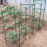 Adjustable Plant Support Stakes for Tomatoes, Cucumbers, and Climbing Vines