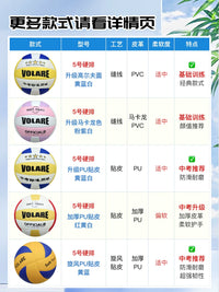 VOLARE No. 5 Training Volleyball for Students