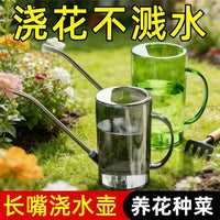 Stainless Steel Long Spout Watering Can for Indoor Plants & Garden, 1.5L