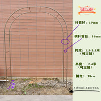 Stainless Steel Garden Arch Trellis for Climbing Plants, Outdoor Rose Arbor Support, Vegetable Pergola Frame