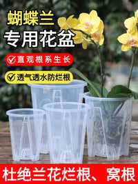 Self-Watering Orchid Pot with Root Control and Ventilation for Indoor Plants