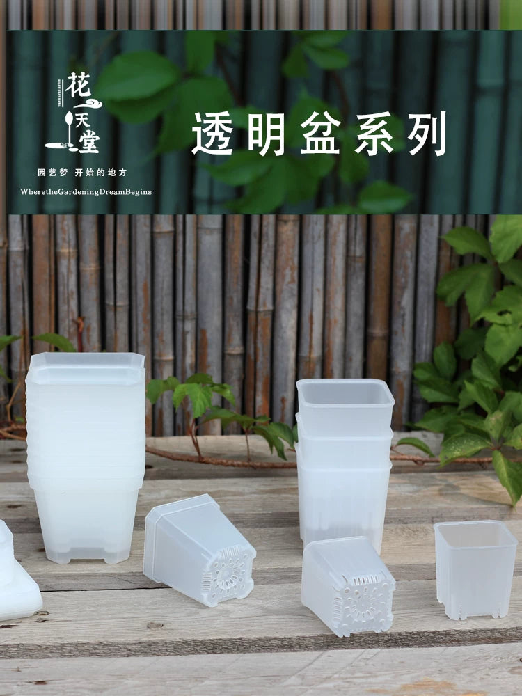 Clear Thickened Plastic Succulent Planter Pots for Seed Starting and Root Control