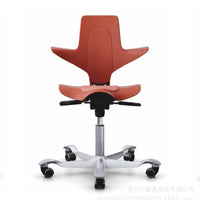 Ergonomic Saddle Stool with Lumbar Support for Office and Study
