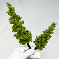 Miniature Pine Tree Model for Dioramas and Landscape Decor