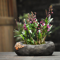 Large Caliber Breathable Ceramic Succulent Planter Pot for Balcony & Old Stumps