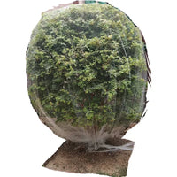 Nylon Anti-Bird Netting for Orchard and Garden Protection