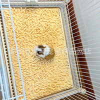 Chenille Guinea Pig Mat Soft Warm Small Pet Carpet for Rabbits and Hamsters