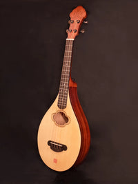 Mingjiu Beginner Ruan Chinese Lute Small Four-String Instrument for Music Class
