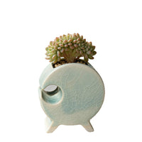 Creative Round Ceramic Succulent Planter with Ice Crack Glaze for Indoor Plants